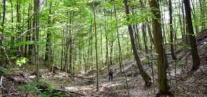 Green Mountain Conservancy Land Conservation Fund