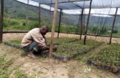 Plant 40,000 Trees In Northern Rwanda