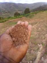 Picture of the soil