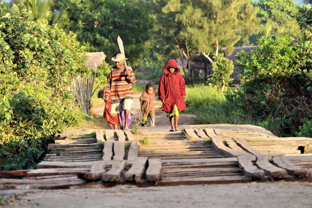 Holistically Alleviating Poverty in Madagascar