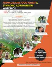 Food Forest Flyer