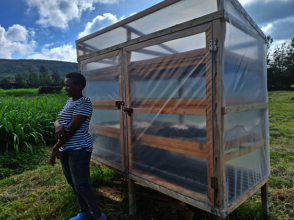 Improvised solar dryer