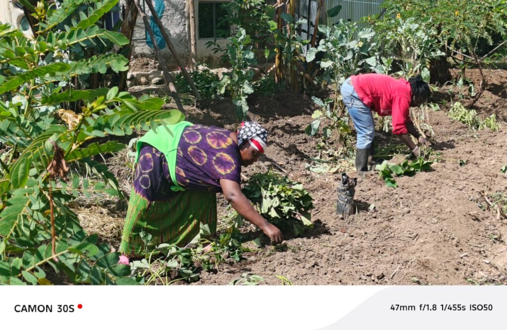 Survivors learning sustainable farming