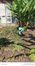 Watering of plants