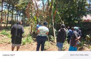 Learning caring of the soil and environment