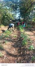Applying practical permaculture classes