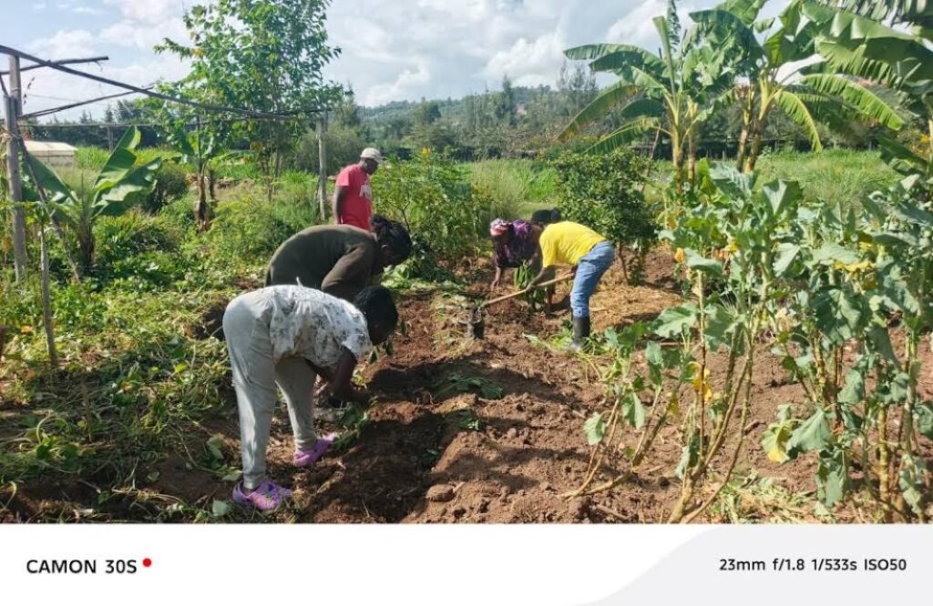 Women practicing permaculture