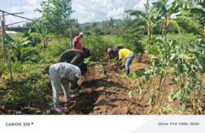 Women practicing permaculture