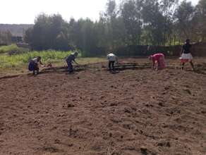 Food Forest Earthworks