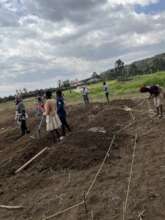Food Forest Earthworks 1