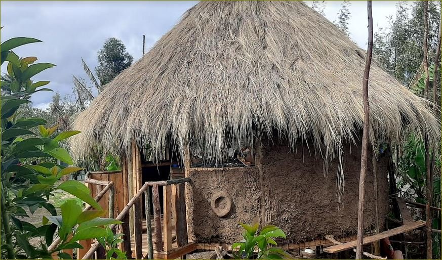 Trash and cob building