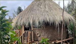 Trash and cob building