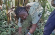 Climate Action Awareness Through a Shelter-Kenya