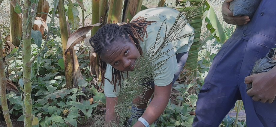 Climate Action Awareness Through a Shelter-Kenya