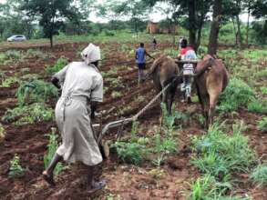 The First Plowing of the Fields in 2021