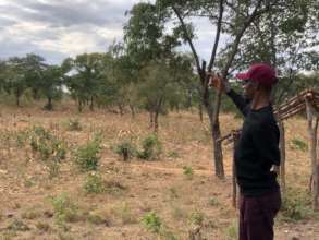 Communal farm land