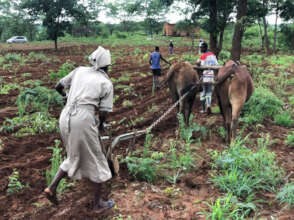 Prisca Plowing