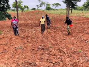 Women planting peanuts