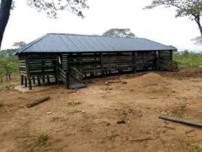 Example of future goat shed