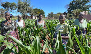 Zambezi Farmers
