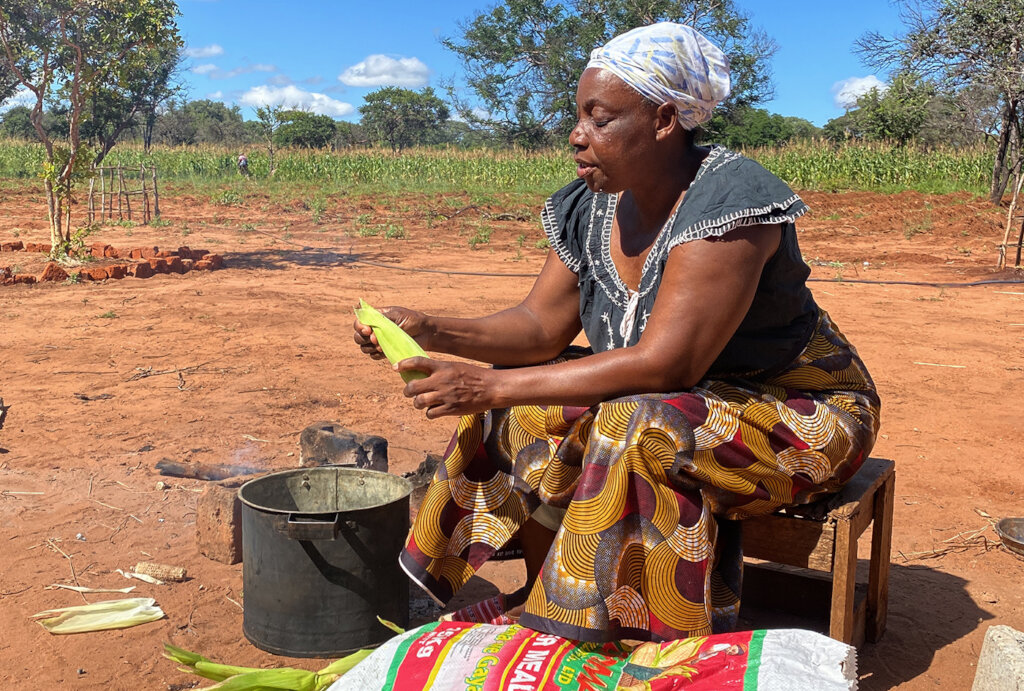 Food Security for Hungry Families in Zambia