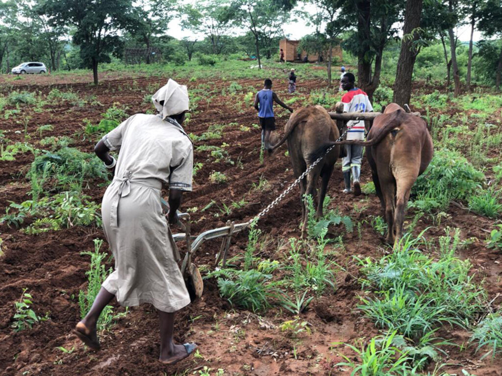 Food Security for Hungry Families in Zambia