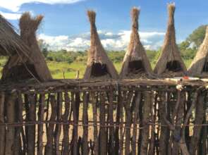 Traditional chicken coops for Village chicken farm