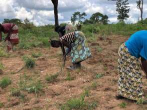 Women Working on Farm