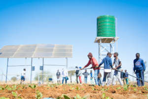 Our vegetable garden with solar-powered borehole