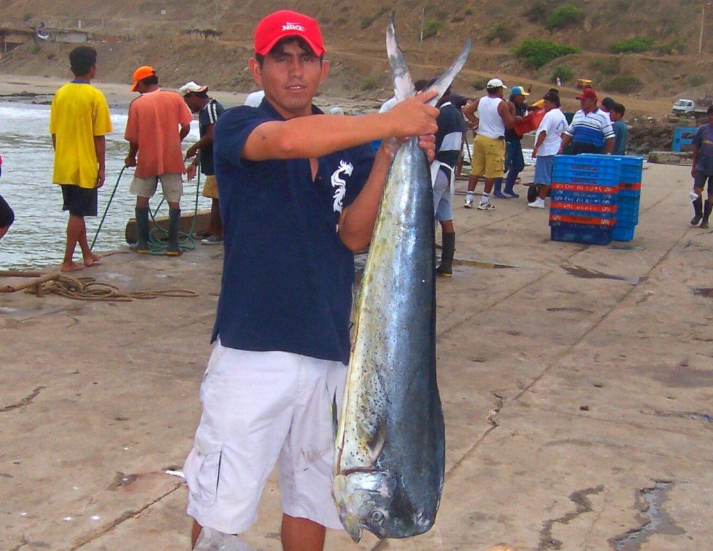 Helping fishers in Peru navigate climate change.