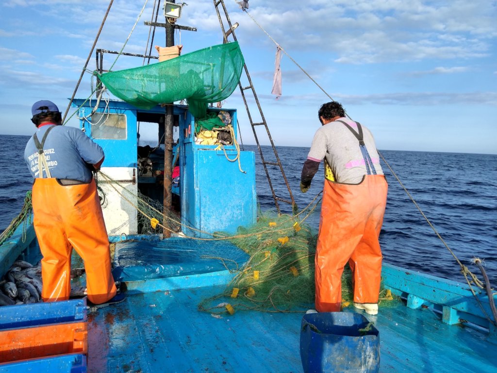 Helping fishers in Peru navigate climate change.