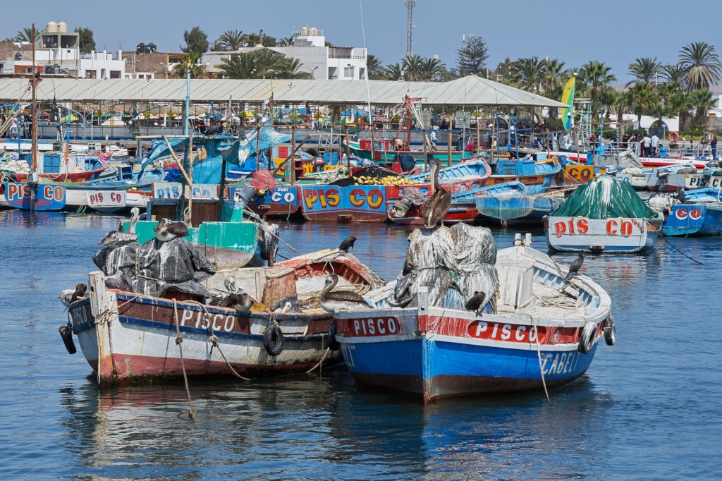Helping fishers in Peru navigate climate change.
