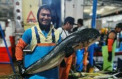 Helping fishers in Peru navigate climate change.
