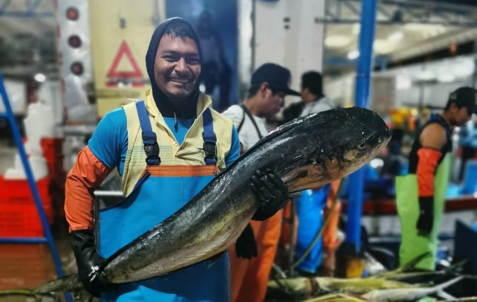Helping fishers in Peru navigate climate change.