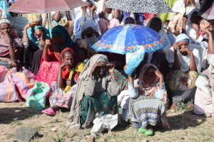 Food distribution