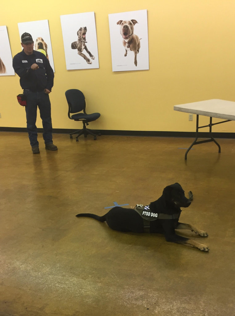 Good Boy Lieutenant