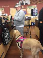 Hazel and Robert grocery shopping