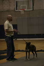 Trainer Shaun Woodard at Utah Valley University