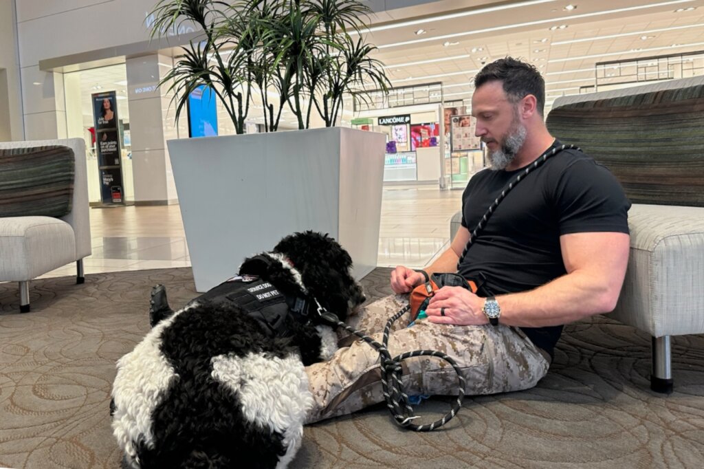 Veteran team Nick & Puzzola