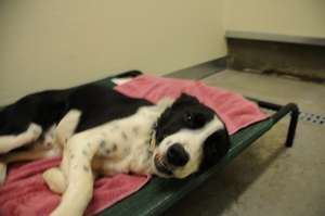 Oliver smiling although he is very ill