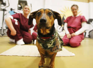 Starr training with inmates