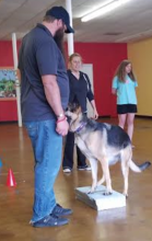 Zoey showing off balance sklills