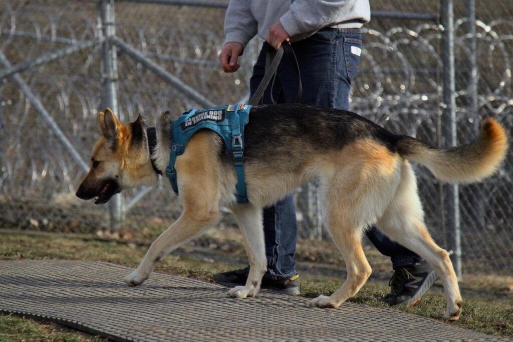 Rune Training at Orofino Prison