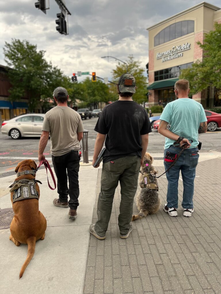 Training Rescue Dogs as Service Dogs for Veterans