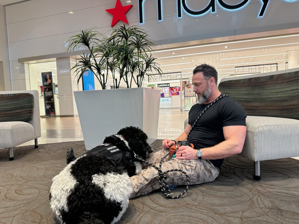 Training Rescue Dogs as Service Dogs for Veterans