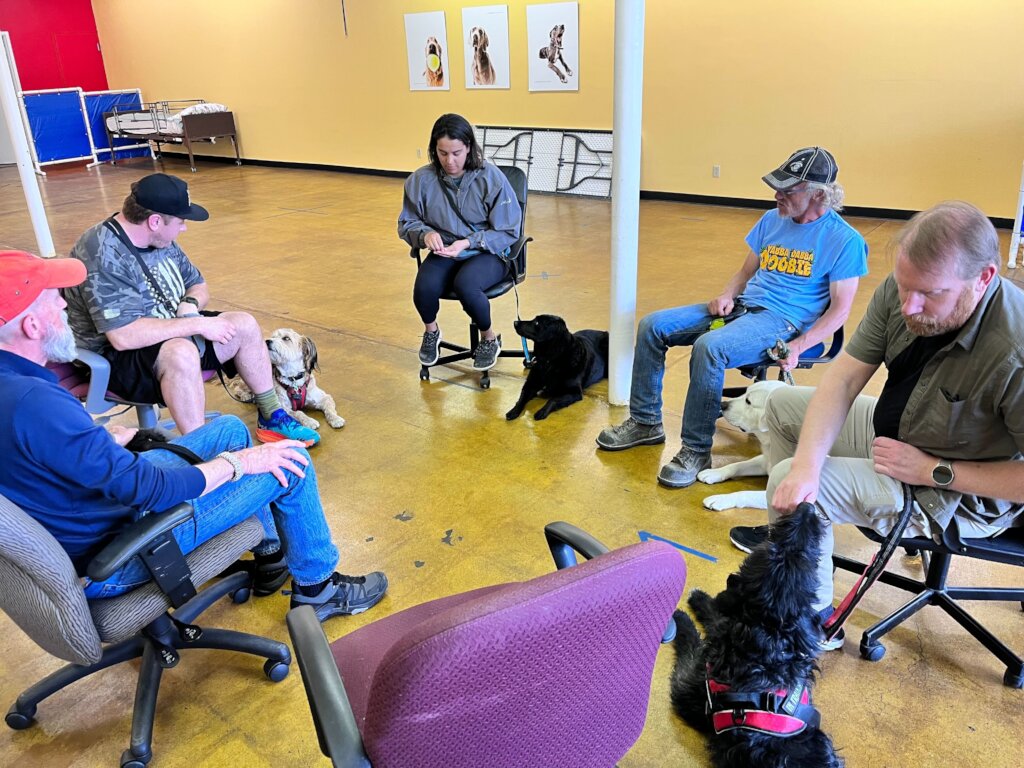 Training Rescue Dogs as Service Dogs for Veterans