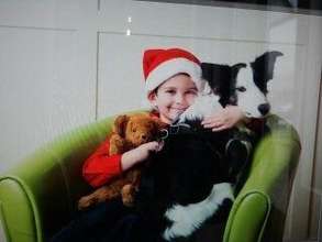 Happy Holidays