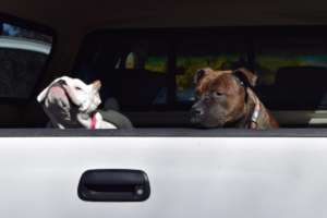 Jada and Scarlet Rose