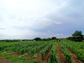 Agroecology program pilot at Apuna Farm