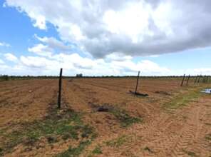 Mirabello land farm being prepared for cultivation